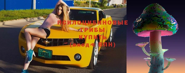 амф Белоозёрский