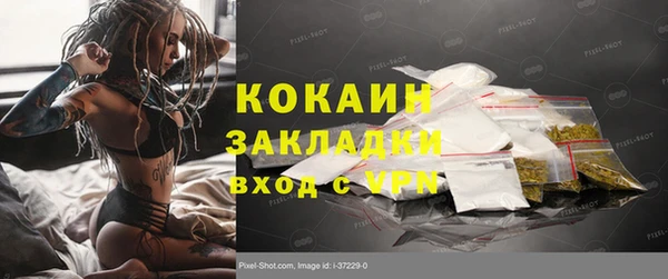 ГАЛЛЮЦИНОГЕННЫЕ ГРИБЫ Богданович