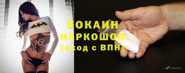 ГАЛЛЮЦИНОГЕННЫЕ ГРИБЫ Богданович