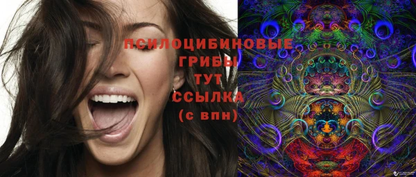 каннабис Богородицк