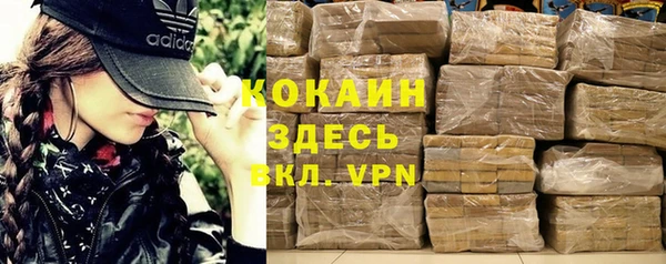 ГАЛЛЮЦИНОГЕННЫЕ ГРИБЫ Богданович