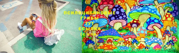 ГАЛЛЮЦИНОГЕННЫЕ ГРИБЫ Богданович