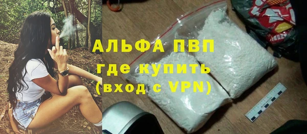 ГАЛЛЮЦИНОГЕННЫЕ ГРИБЫ Богданович