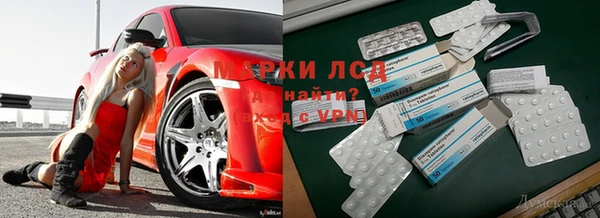 ГАЛЛЮЦИНОГЕННЫЕ ГРИБЫ Богданович