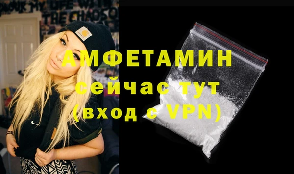 ГАЛЛЮЦИНОГЕННЫЕ ГРИБЫ Богданович