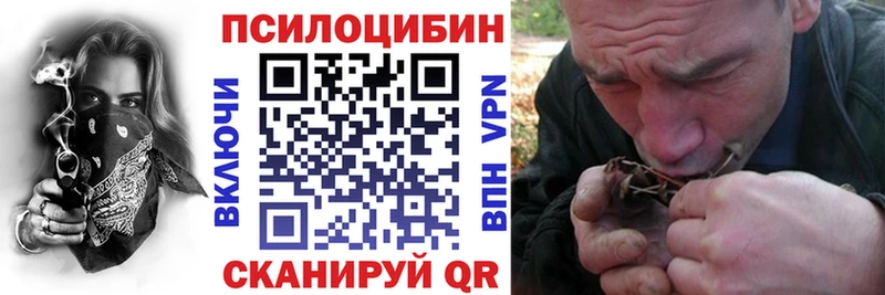 Псилоцибиновые грибы MAGIC MUSHROOMS  это официальный сайт  Каневская 